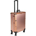 Professional Artist Studio Cosmetic Train Table Case Makeup Station